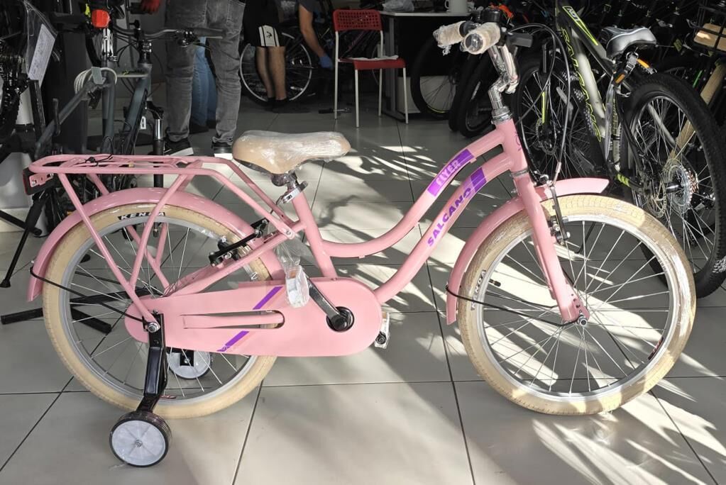 Salcano Flyer 20 Jant Kız Çoçuk Bisikleti (120/140 cm arası boy) Pudra Pembe