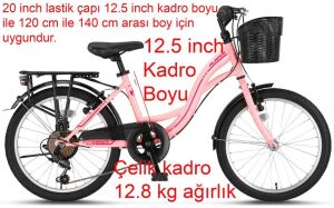 ÜMİT 2027 ALANYA 20 Jant Kız Çocuk Bisikleti (120/140 cm Boy) AÇIK PEMBE