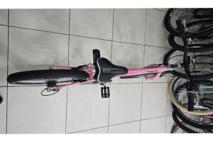 Salcano Excel 20 Jant Kız Çocuk Bisikleti (120 / 145 cm arası boy) Pudra Pembe