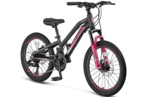 Ümit Motion 20 Jant Disk Fren Vitesli Kız Çocuk Bisikleti 2079 (115 / 135 cm arası boy)