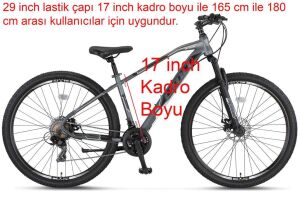 Ümit Arcus 29 Jant Dağ Bisikleti 2913 (165-180 cm arası boy) Antrasit Beyaz
