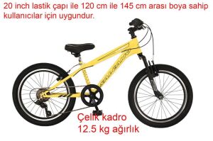 Salcano Lion 20 Jant Vitesli Erkek Çocuk Bisikleti (120-145 cm boy) Sarı Siyah