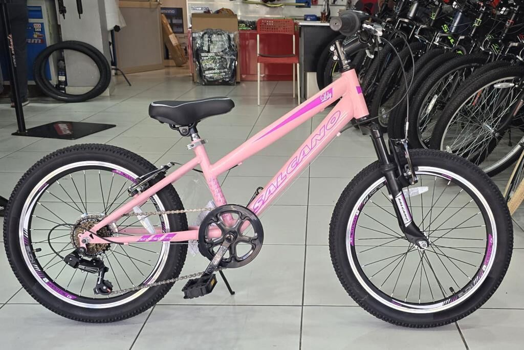 Salcano Lily 20 Jant Vitesli Kız Çocuk Bisikleti (120-145 cm boy)