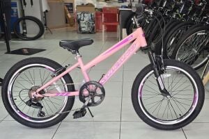 Salcano Lily 20 Jant Vitesli Kız Çocuk Bisikleti (120-145 cm boy)