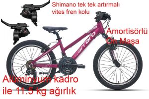 Carraro Force 201 20 Jant  21 Vitesli Kız Çocuk Bisikleti (115 /140 cm arası boy) Mat Mürdüm Pembe