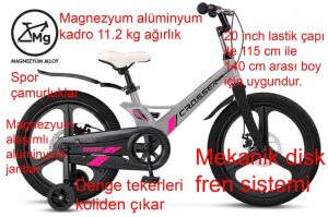 Ümit Crosser 2d 20 Jant Disk Fren Kız Çocuk Bisikleti 2018 (115 ile 140 cm arası boy) Nardo Gri Pembe