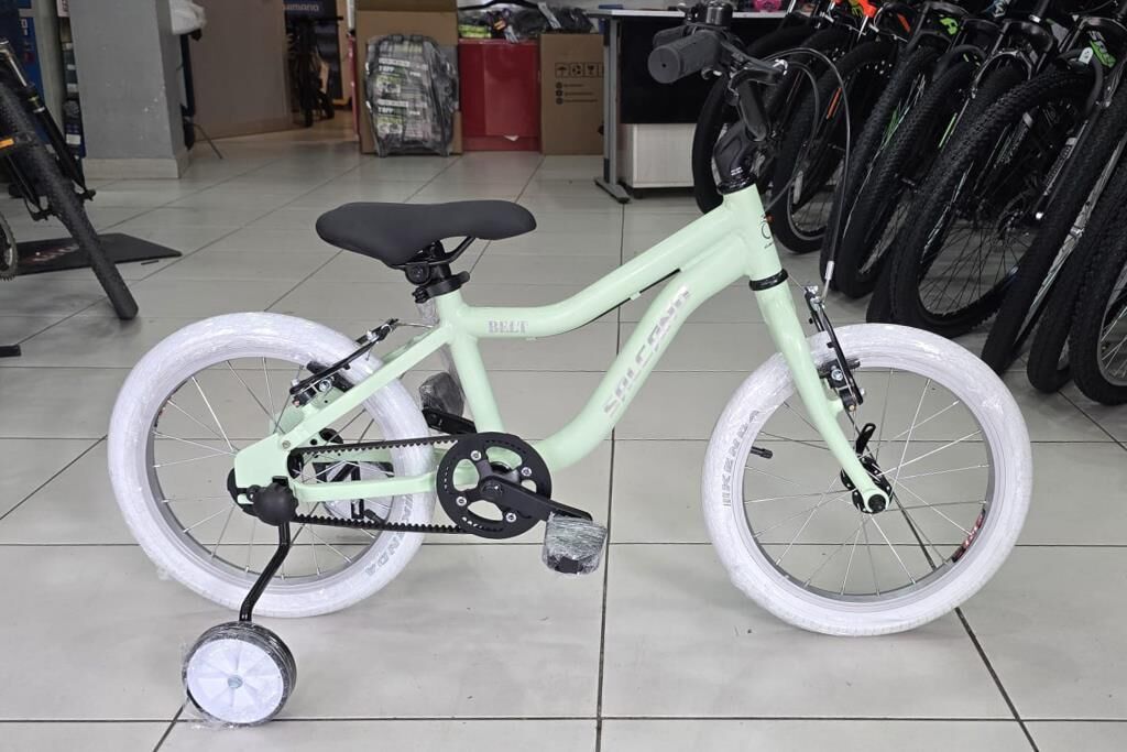 Salcano Belt 16 Jant Hafif Kız Çocuk Bisikleti Kayışlı Sistem (100-120 cm arası boy)